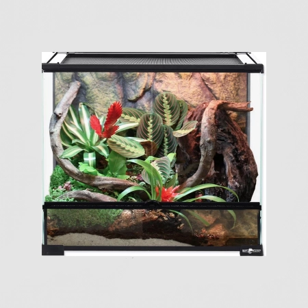 Terrarium szklane 60x45x60cm