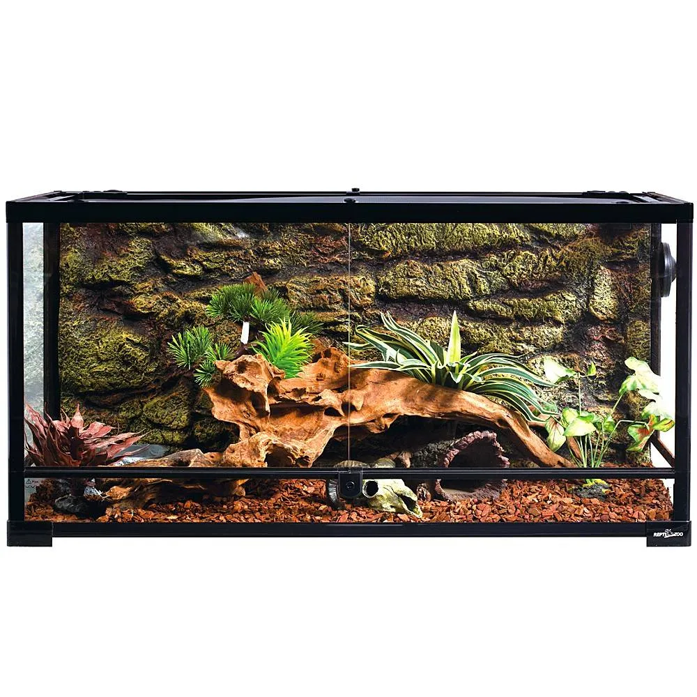 Jakie terrarium wybrać dla gekona lamparciego (Eublefara lamparciego)?