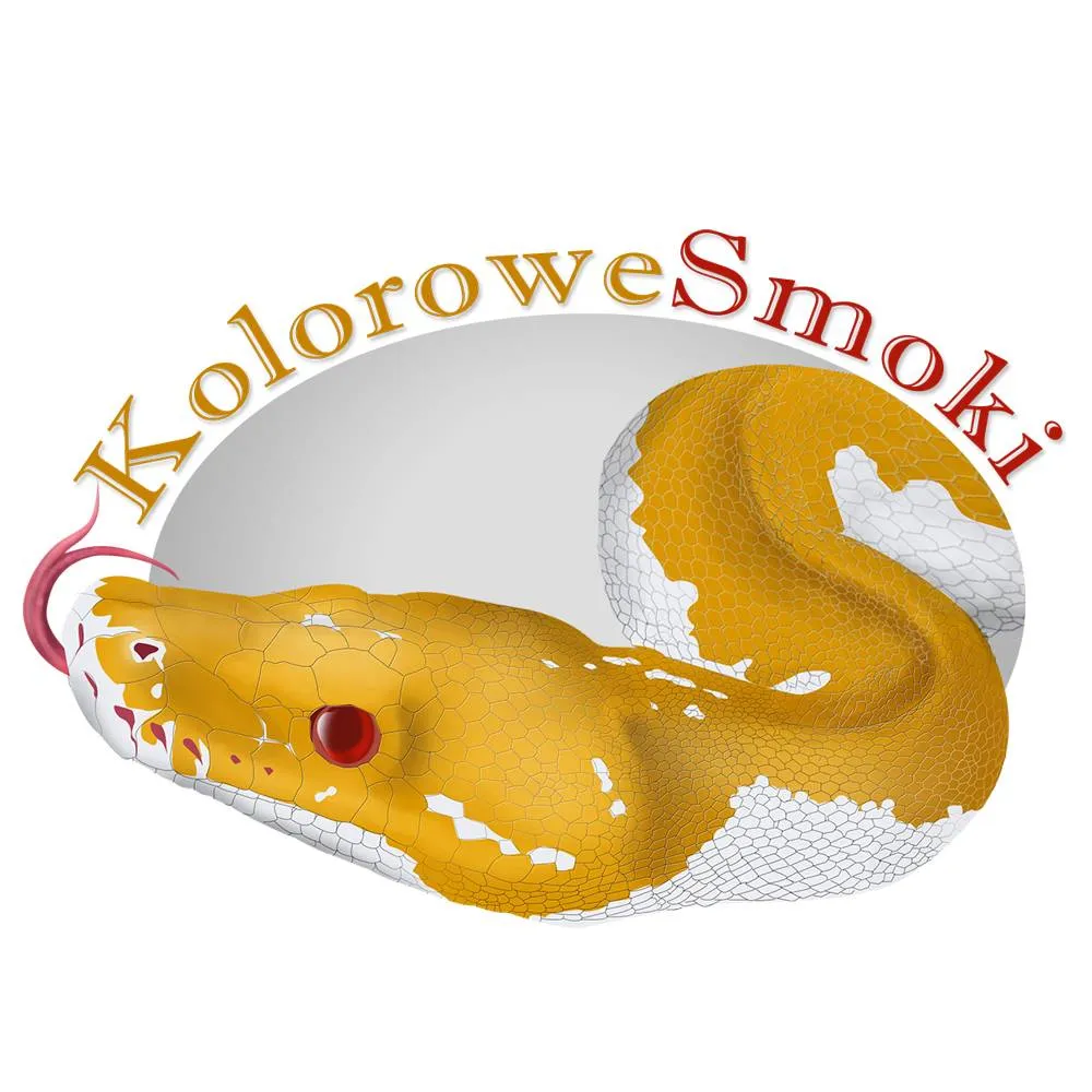 kolorowe smoki